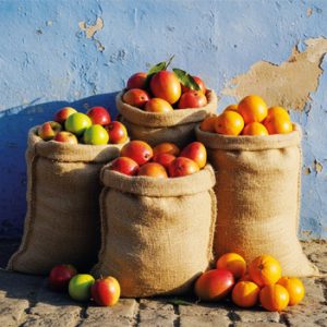 Fruit of Life (e-card)