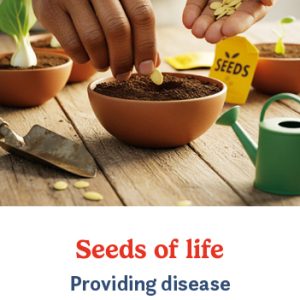 Seeds of Life (e-card)
